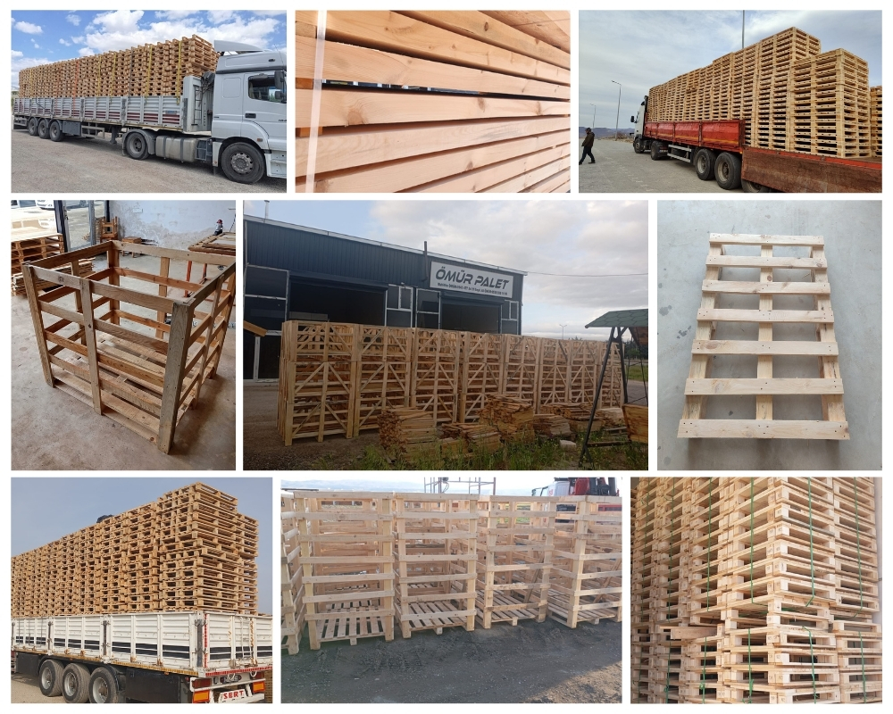 Lyme Regis Wooden Pallets, Buy Wooden Pallets Wholesale